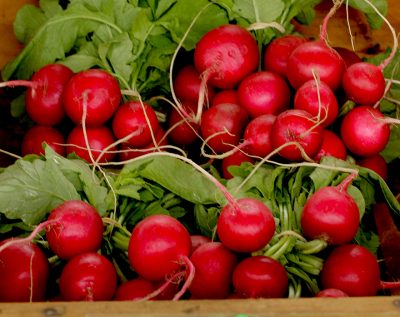 Farmers at the Morrisville Farmers Market
